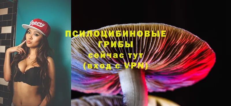 Галлюциногенные грибы Cubensis  мориарти официальный сайт  Избербаш  купить наркотики цена  hydra tor 